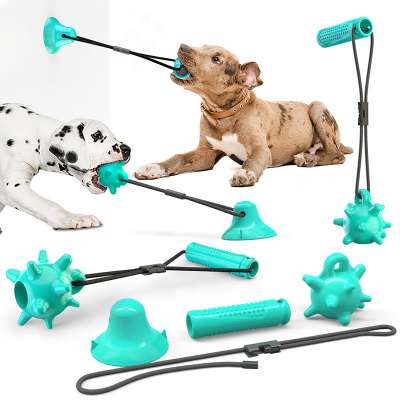 New Arrival Support Multiple Combinations Pet Molar Bite Rubber Tooth Cleaning Sucker Ball Pet Toys with Accessories for You